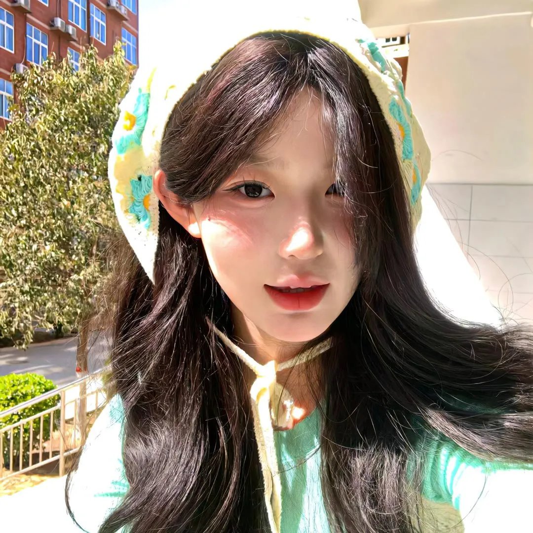 鸽之翼